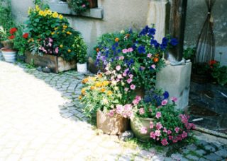 Ferienwohnung Schleiz OT Grochwitz Ferienwohnung St&ouml;ckigtsm&uuml;hle tableau 2